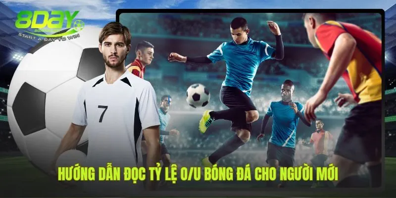 Giải mã các tỷ lệ kèo tài xỉu bóng đá phổ biến nhất